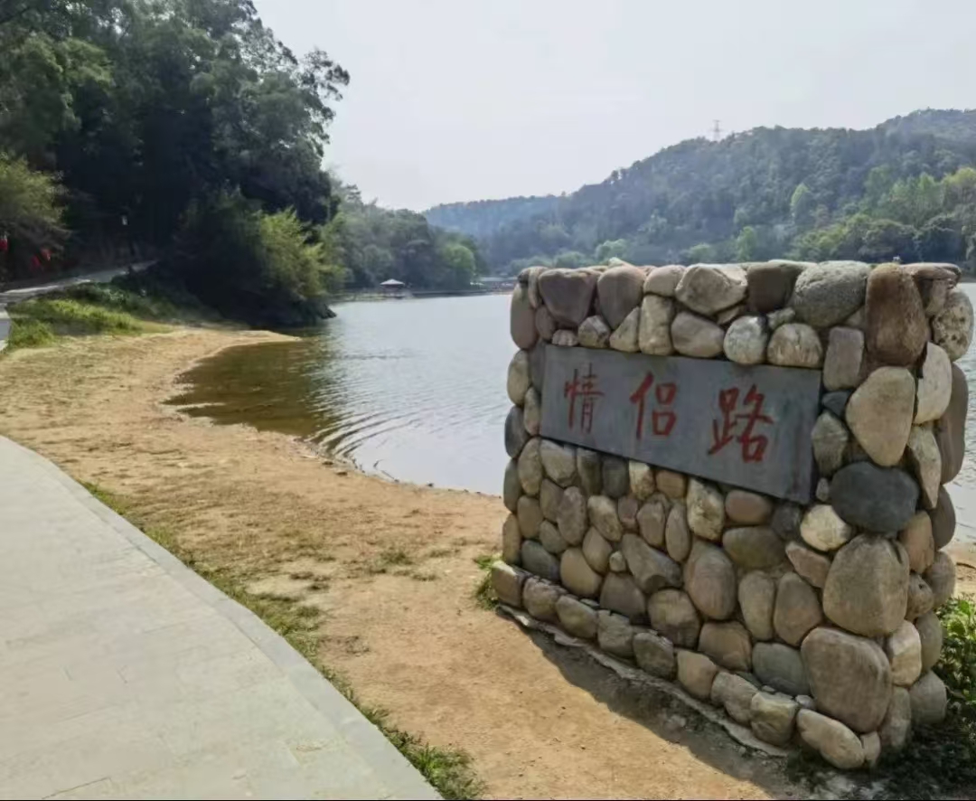 案例2