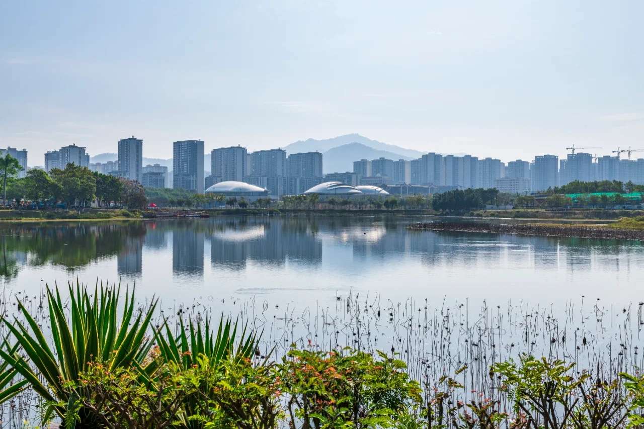 案例7